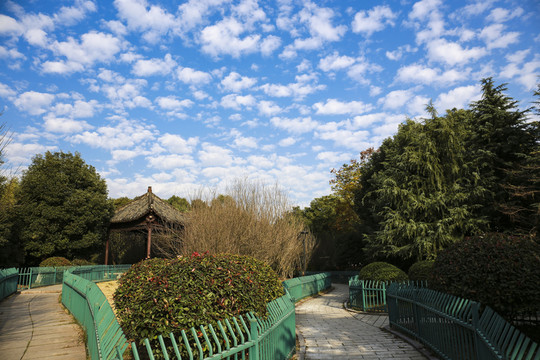 公園