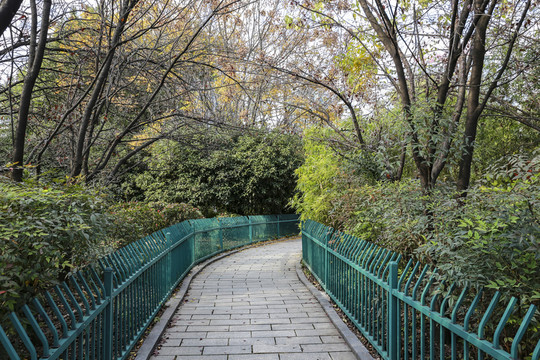 公園小徑