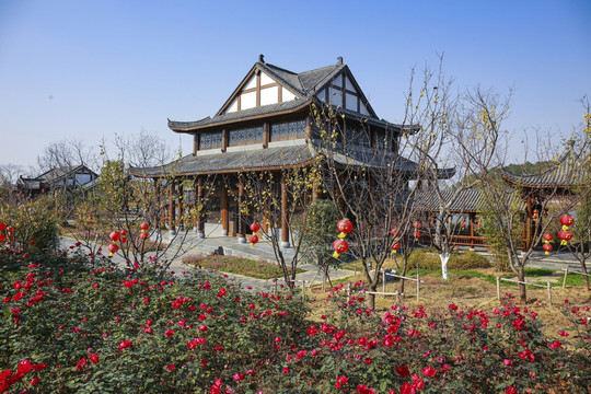 仿古樓 月季