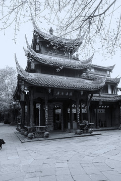 老成都