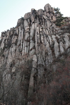 青島浮山