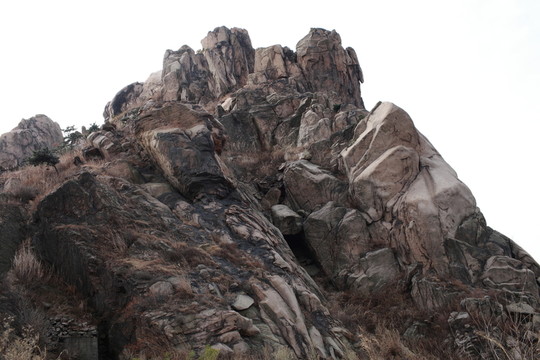 青島浮山