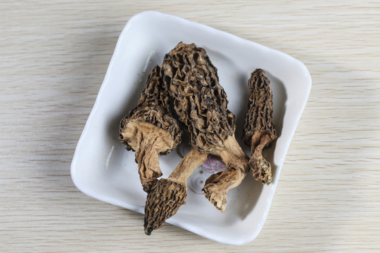 羊肚菌