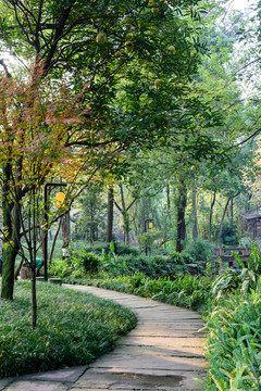 公園林中小路