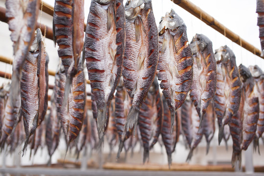 臘魚