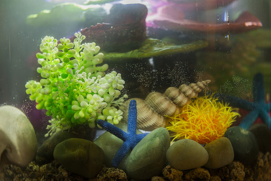 魚缸