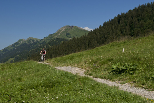 mountainbike im allg？u