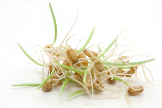 農(nóng)業(yè)