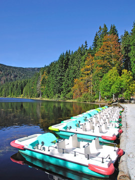 在大型arbersee