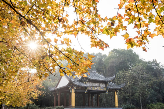 公園秋色