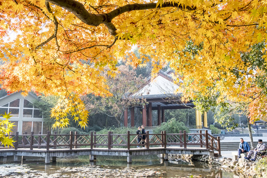 公園秋景