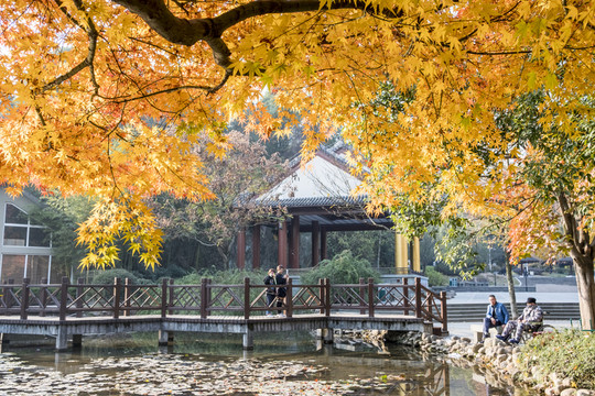 公園秋景