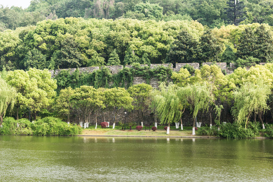 獅子山下護城河