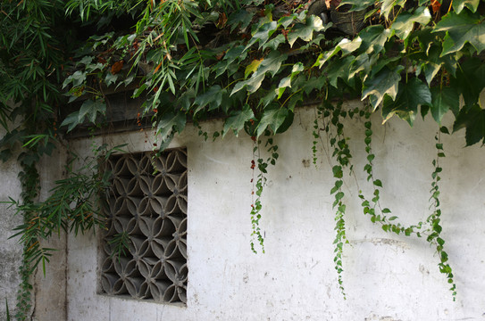 花窗矮墻