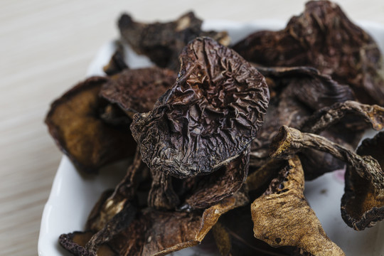 野生牛肝菌