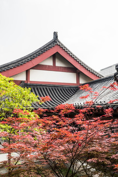 天妃宮景觀