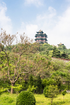 天妃宮景觀