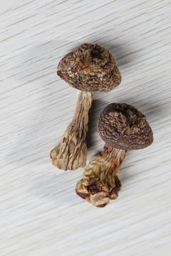 松茸
