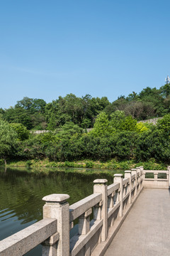 小桃園園林景觀