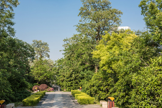 八字山公園園林景觀
