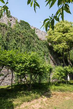 南京明城墻
