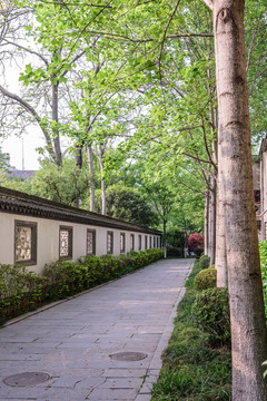 南京總統(tǒng)府景觀