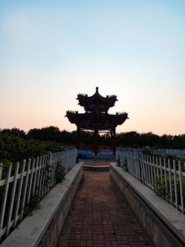 菏澤曹州牡丹園
