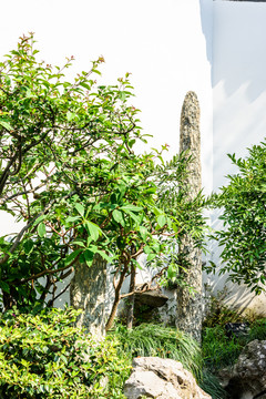 南京總統(tǒng)府景觀