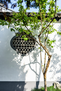 南京總統(tǒng)府景觀