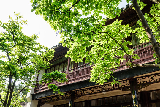 南京總統(tǒng)府景觀