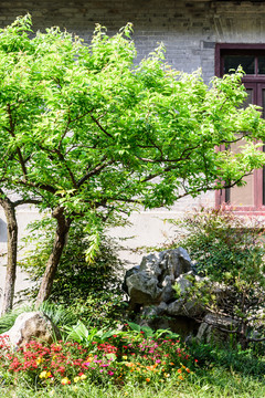 南京總統(tǒng)府景觀