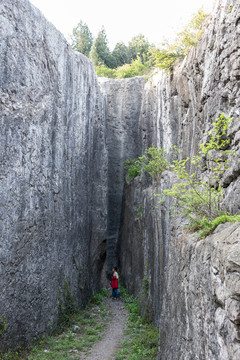 陽山碑材