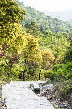 陽山碑材景區(qū)山道