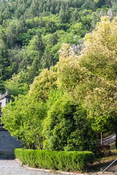 陽(yáng)山碑材景區(qū)明文化村