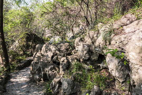 山道和山石