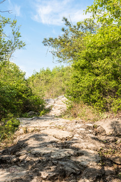 山道和山石
