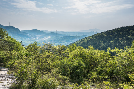 山林