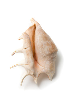 物體