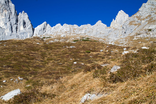 山