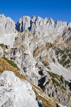 山