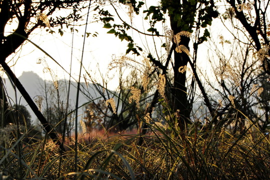 貴州婁山關(guān)