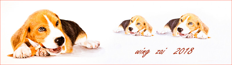 比格犬 狗年賀卡