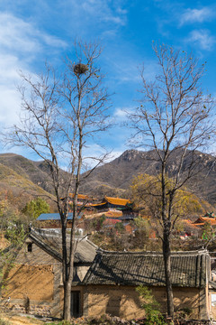 農(nóng)村土坯房