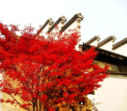 古色紅顏