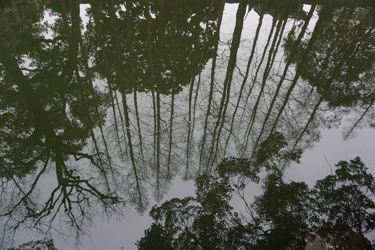 豫園