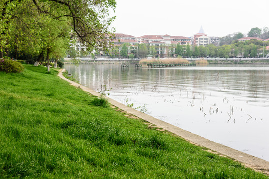 玄武湖湖景