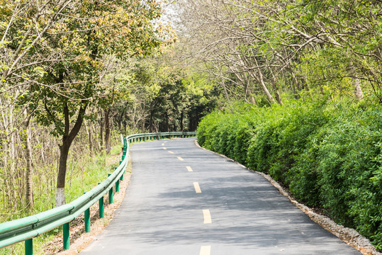 林間公路