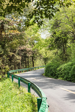 金牛山林間公路