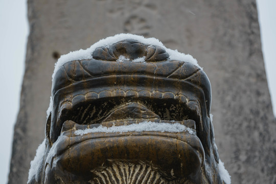 落雪神獸