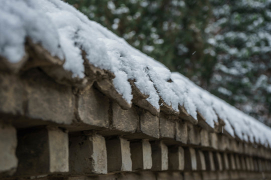 瓦當(dāng)落雪